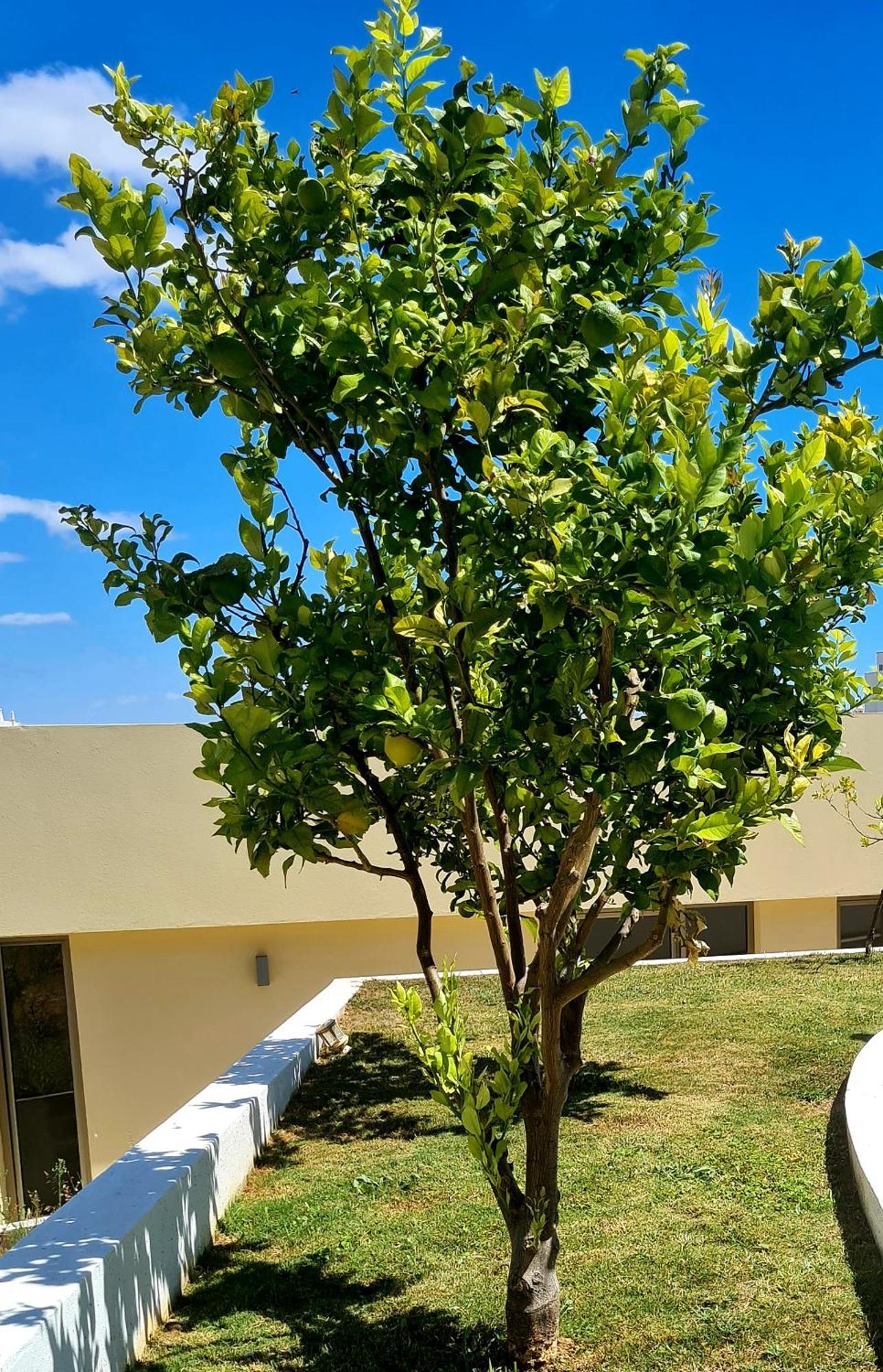Hostel Supremo Armação de Pêra Kültér fotó